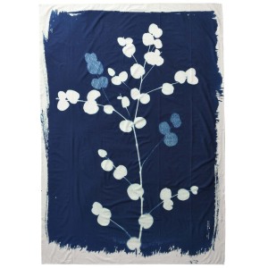 Pareoe Eucalyptus Bleu 180 X 130