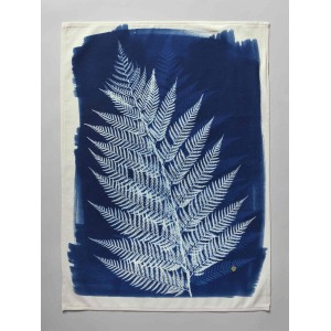 Strofinaccio Fougère Bleu 70 X 50