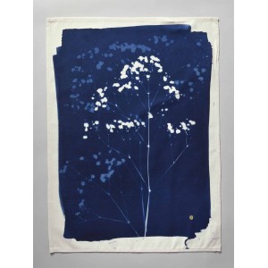 Strofinaccio Gypso Bleu 70 X 50