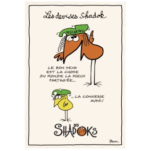 Strofinaccio Shadoks Le bon sens Écru 48 X 72