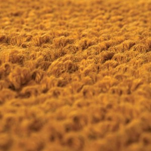 Tappeto Elios Naturel 160 X 230