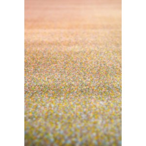 Tappeto Caro Multicolore 200 X 290