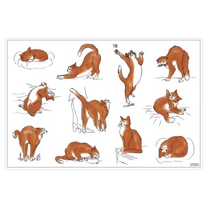 Set da tavola Journée du chat Assortis 30 X 45