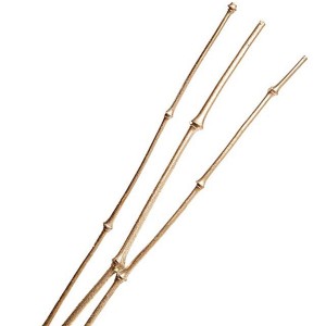 Bambù decorativo dorato H200