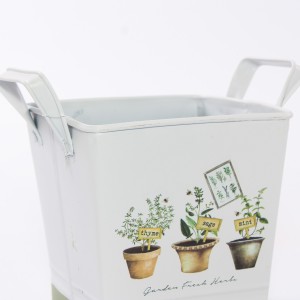 Vaschetta in latta "Fresh Herbs" 14X14H14