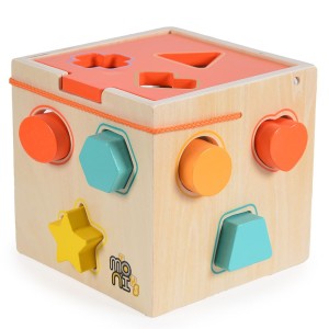 Moni Cubo Educativo In Legno 13Pz