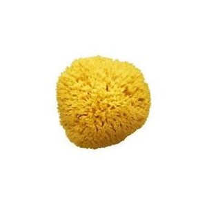 Spugna Naturale King Baby Di Mare Mis.