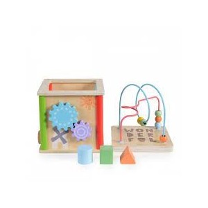Moni Toys Cubo Attivita' In Legno 5Pz