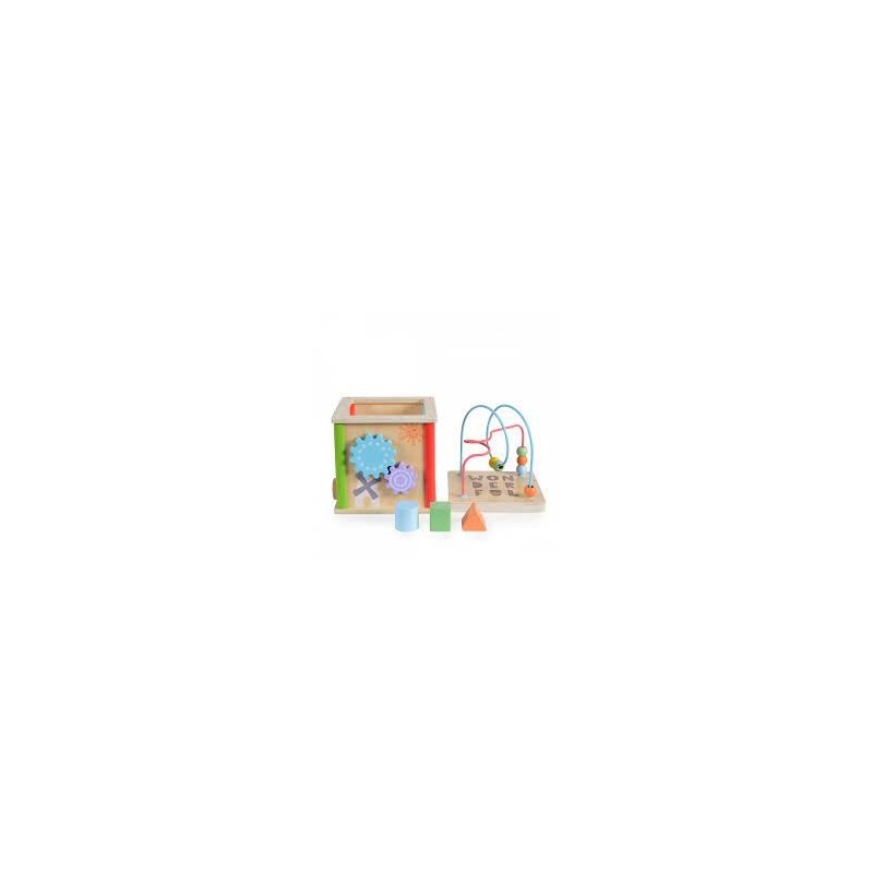 Moni Toys Cubo Attivita' In Legno 5Pz